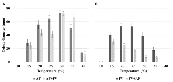 FIGURE 1 | Mean colony diameter (mm) of alone fungus inoculum of (A) Aspergillus flavus (Af) and together fungi inoculum of Af + Fv and (B) Fusarium verticillioides (Fv) and together fungi inoculum of Fv + Af, at different T of incubation (10–40◦C, 5◦C step) on both media considered (CMM and PDA). The bars indicate the mean standard error. All experiments were conducted using three replicates and were performed twice.