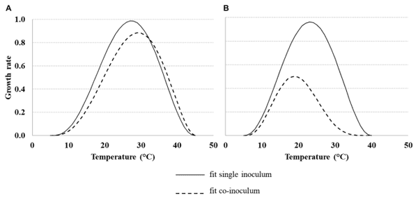 FIGURE 4 | Dynamic of the growth rate of Aspergillus flavus (Af) (A) and Fusarium verticillioides (Fv) (B), under different temperature regimes (10–40◦C), grown alone or together. Data were fitted by a non-liner function (Eq. 1, Table 2 for equation parameters) both for fungi grown alone (solid line) and together (dotted line).