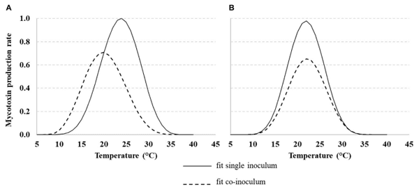 FIGURE 5 | Dynamic of aflatoxin B1 (AFB1) (A) and fumonisins [FB1 + FB2 (FBs)] (B) production rate with Aspergillus flavus (Af) and Fusarium verticillioides (Fv) grown (solid line) or together (dotted line) under different T regimes (10–40◦C). Data were fitted by a non-liner function (Eq. 1, Table 3 for equation parameters).