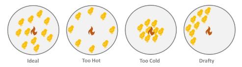 Starting off right: Ensuring chick welfare - Image 5