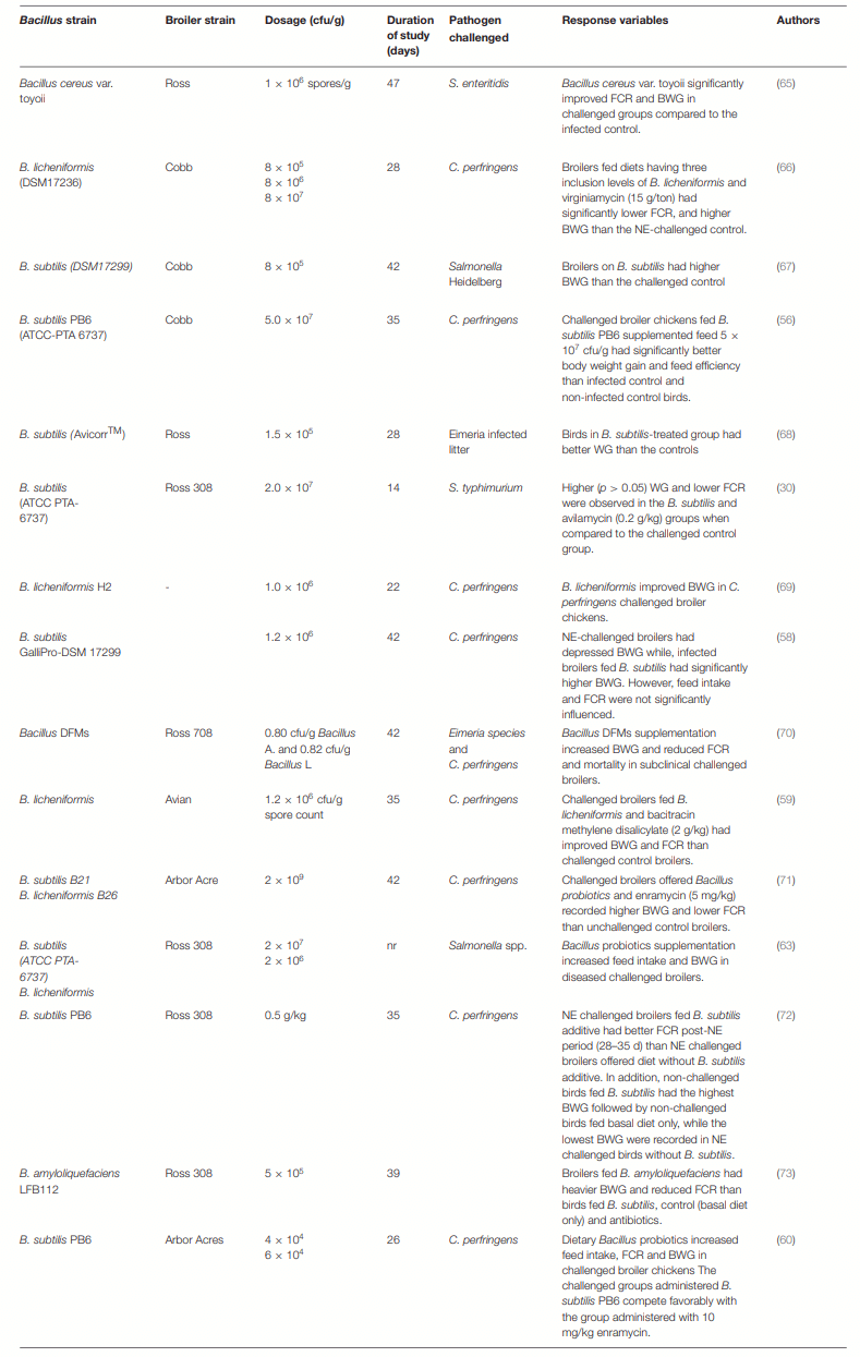 Bacillus Probiotics as Alternatives to In-feed Antibiotics and Its Influence on Growth, Serum Chemistry, Antioxidant Status, Intestinal Histomorphology, and Lesion Scores in Disease-Challenged Broiler Chickens - Image 1