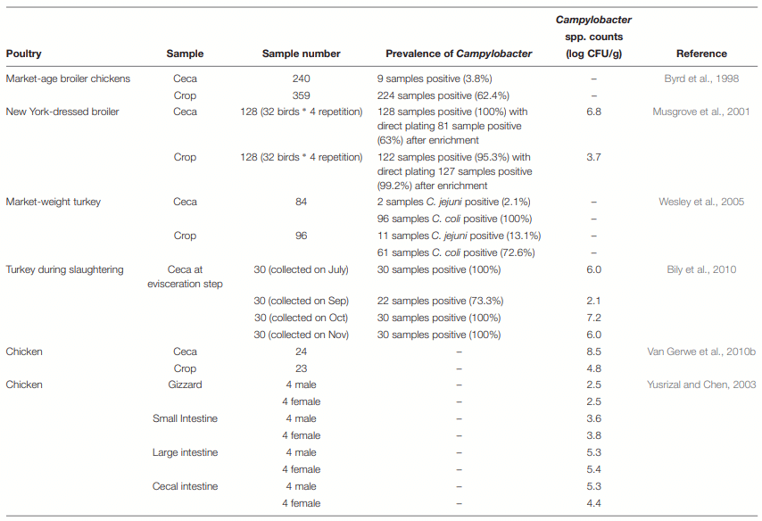Potential for Prebiotics as Feed Additives to Limit Foodborne Campylobacter Establishment in the Poultry Gastrointestinal Tract - Image 1