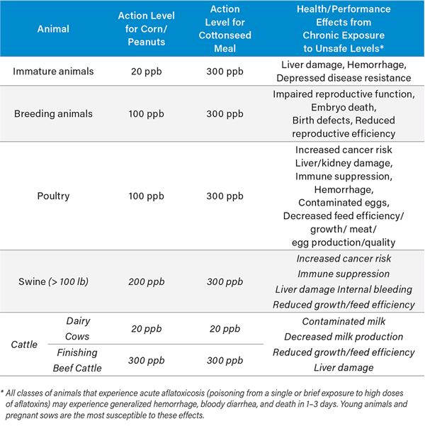 Table 1: FDA action levels for total aflatoxins in livestock feed; health/performance effects of unsafe levels