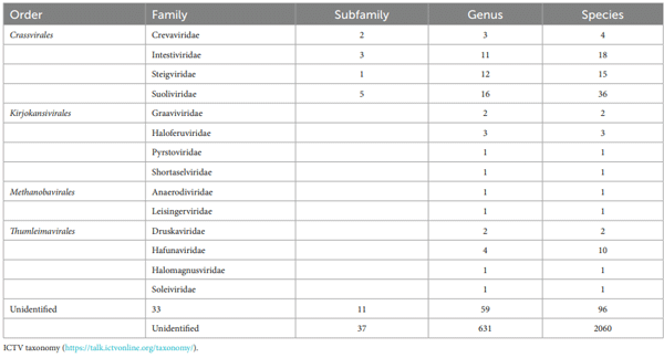 TABLE 1 Current taxonomy of the class Caudoviricetes following International Committee on Taxonomy of Viruses (ICTV).
