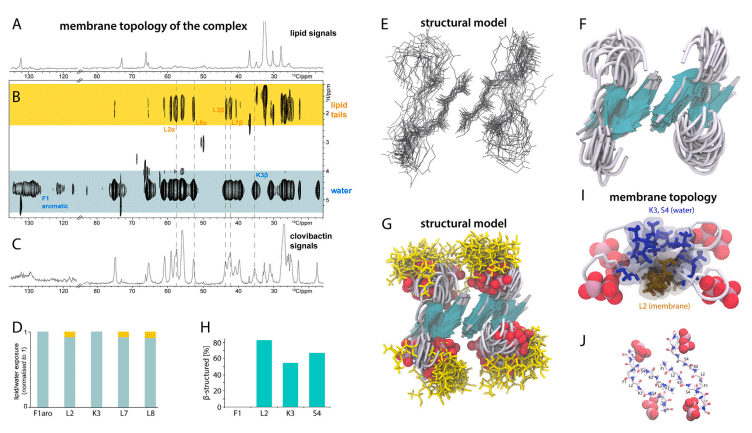 An antibiotic from an uncultured bacterium binds to an immutable target - Image 7