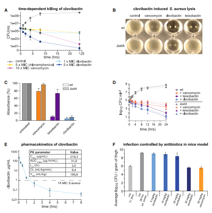 An antibiotic from an uncultured bacterium binds to an immutable target - Image 3