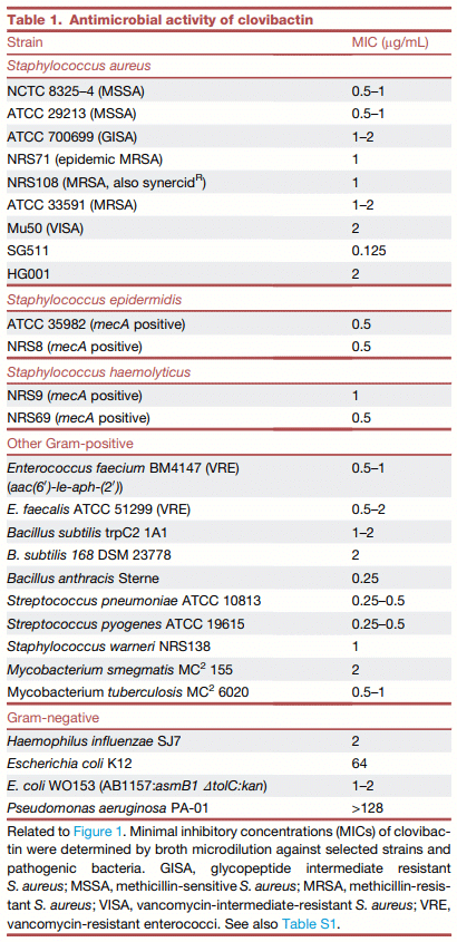 Table 1. Antimicrobial activity of clovibactin