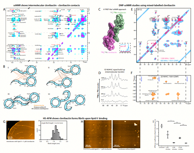 An antibiotic from an uncultured bacterium binds to an immutable target - Image 5