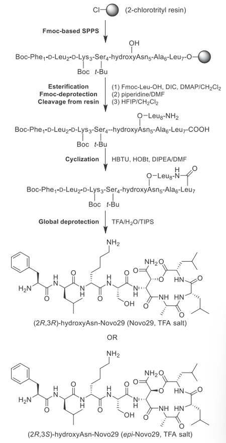 Figure 5. Synthesis of Novo29 and epi-Novo29.