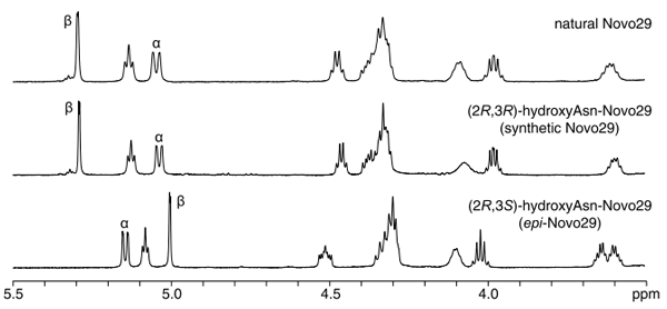 Figure 6. 1 H NMR spectra of natural Novo29, synthetic Novo29, and epi-Novo29 (3.5−5.5 ppm expansion, 500 MHz, 2 mM in D- and β-protons of hydroxyAsn are labeled.