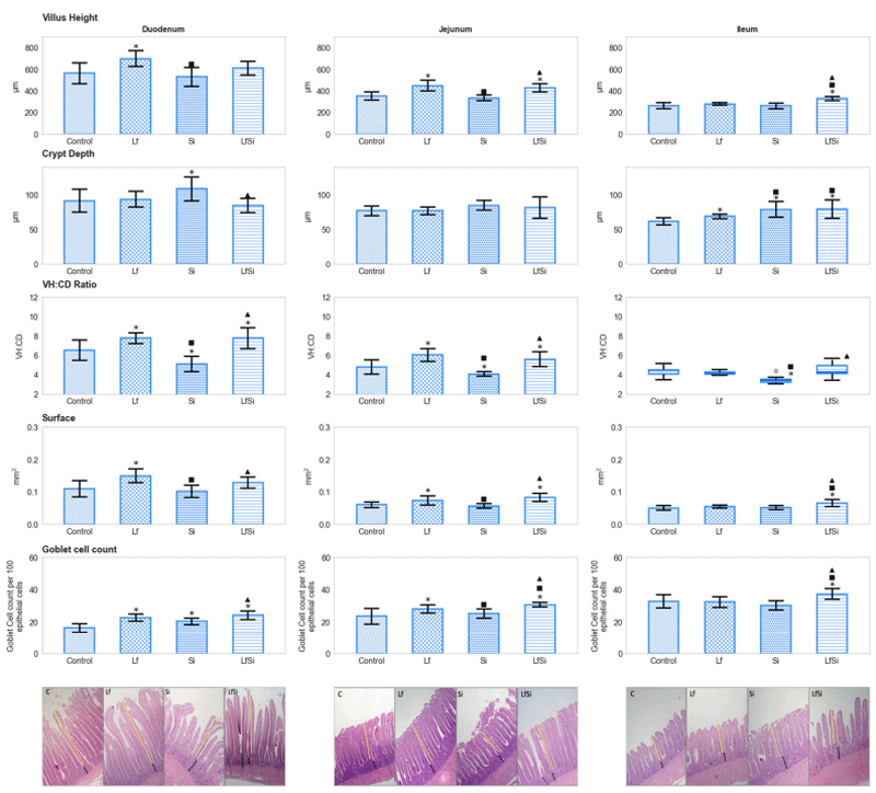 Effects of Lactobacillus fermentum Administration on Intestinal Morphometry and Antibody Serum Levels in Salmonella-Infantis-Challenged Chickens - Image 1