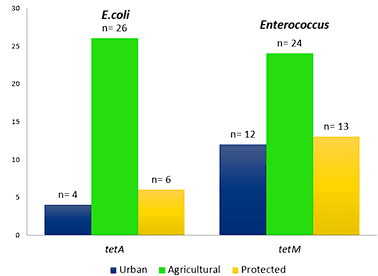 Tetracycline Resistance Profile in Darwin Finches in the Galapagos Islands - Image 3