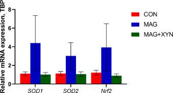 Effects of microalgae, with or without xylanase supplementation, on growth performance, organs development, and gut health parameters of broiler chickens - Image 15