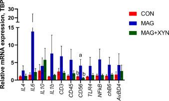 Effects of microalgae, with or without xylanase supplementation, on growth performance, organs development, and gut health parameters of broiler chickens - Image 14