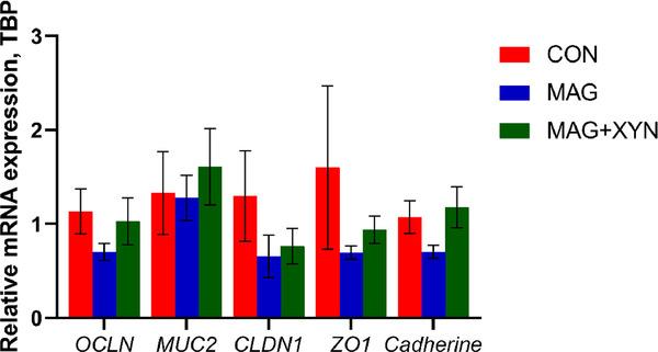 Effects of microalgae, with or without xylanase supplementation, on growth performance, organs development, and gut health parameters of broiler chickens - Image 9