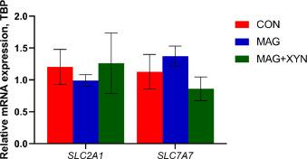 Effects of microalgae, with or without xylanase supplementation, on growth performance, organs development, and gut health parameters of broiler chickens - Image 12