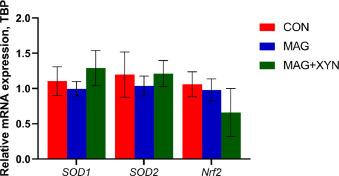 Effects of microalgae, with or without xylanase supplementation, on growth performance, organs development, and gut health parameters of broiler chickens - Image 11