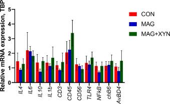 Effects of microalgae, with or without xylanase supplementation, on growth performance, organs development, and gut health parameters of broiler chickens - Image 10