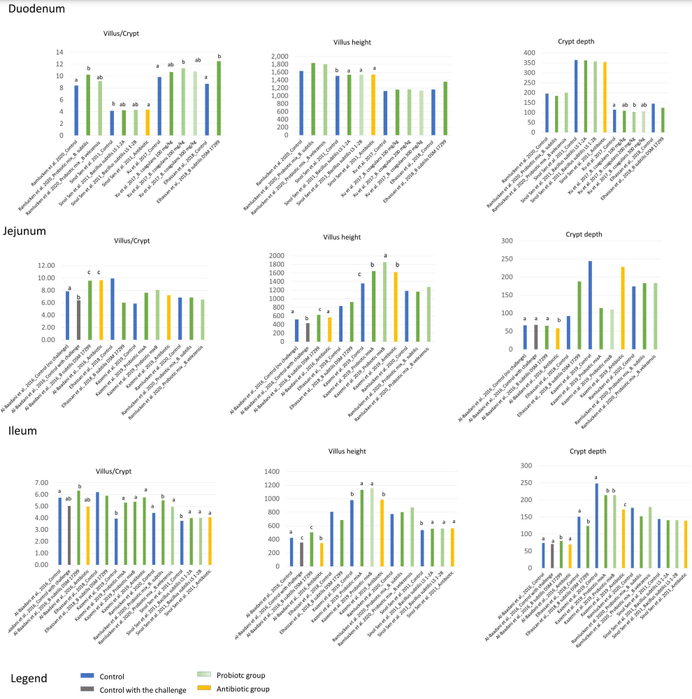 Bacillus spp. Probiotic Strains as a Potential Tool for Limiting the Use of Antibiotics, and Improving the Growth and Health of Pigs and Chickens - Image 7