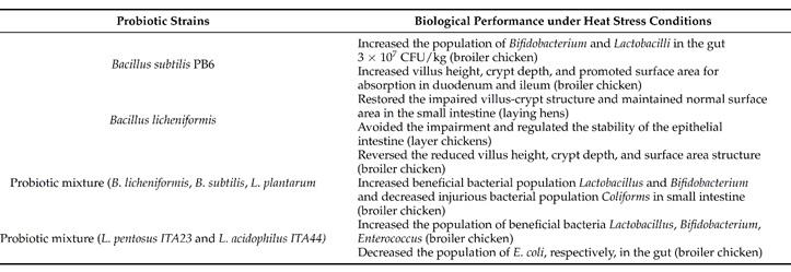 Mitigation of Heat Stress by Probiotics - Image 1