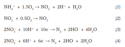 Nitrogen removal from swine wastewater by combining treated effluent with raw manure - Image 1