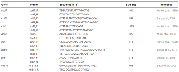 TABLE 1 | Primers used in this study.