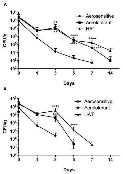 FIGURE 4 | Survival of aerosensitive, aerotolerant, and HAT C. jejuni strains at 4 ◦C in poultry meat in N2 (A) and CO2 (B). Two strains from each aerotolerance group were randomly selected for the experiment. The results indicate the means and standard deviations of duplicate samples of the two different strains in a single experiment. Three independent experiments were performed, and similar results were obtained all the experiments. The statistical analysis was carried out with two-way ANOVA. ∗P ≤ 0.05, ∗∗P ≤ 0.01, ∗∗∗P ≤ 0.001, ∗∗∗∗P ≤ 0.0001.