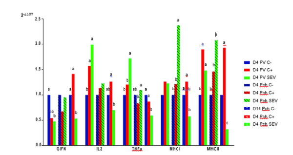 Immunity against Salmonella: what is really important? - Image 3