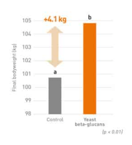 Mitigating the negative impact of Lawsonia intracellularis on pig performance and intestinal wellbeing - Image 2