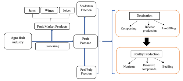 FIGURE 1 | Valorization of fruit pomace waste into value-added products.