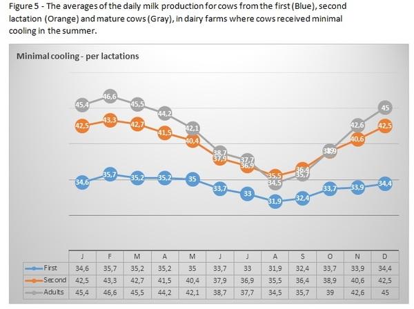 How much milk adds intensive cooling in the summer to the annual yield of young and mature cows - Image 5