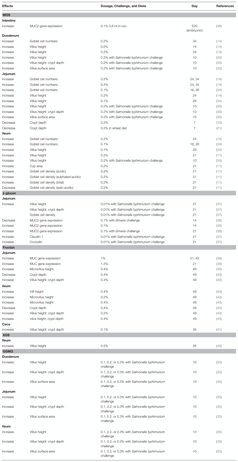 Review: Roles of Prebiotics in Intestinal Ecosystem of Broilers - Image 3