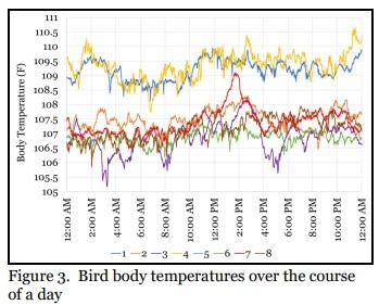 Weight Gain Vs. Body Temperature - Image 4