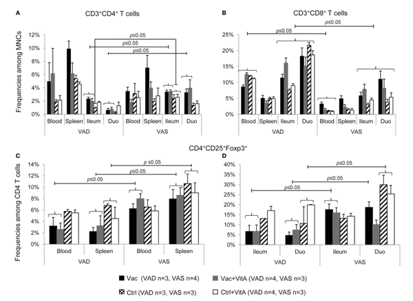 FIGURE 1 Following a human rotavirus (RV) challenge, the groups that were both vaccinated and had sufficient levels of vitamin A exhibited higher levels of intestinal and systemic T regulatory cells (Chattha et al., 2013). The graph compares frequencies of T helper cells (CD3+CD4+; A), cytotoxic T cells (CD3+CD8+; B) and regulatory T cells (CD4+CD25+Foxp3+; C, D) in vitamin A deficient and sufficient pigs; MNCs=mononuclear cells. Pigs were vaccinated with attenuated human RV (AttHRV) vaccine or given a placebo, with or without vitamin A supplementation. Data was collected from blood, spleen, ileum, and duodenum post-RV challenge. Bars show mean values and standard error of the mean, with capped lines indicating significant differences (p ≤ 0.05). Labels: Vac=AttHRV vaccinated, Vac+VitA=AttHRV vaccinated + vitamin A, Ctrl=non-vaccinated/non-vit A pigs, Ctrl +VitA=vitamin A only; doi.org/10.1371/journal.pone.0082966.g005.