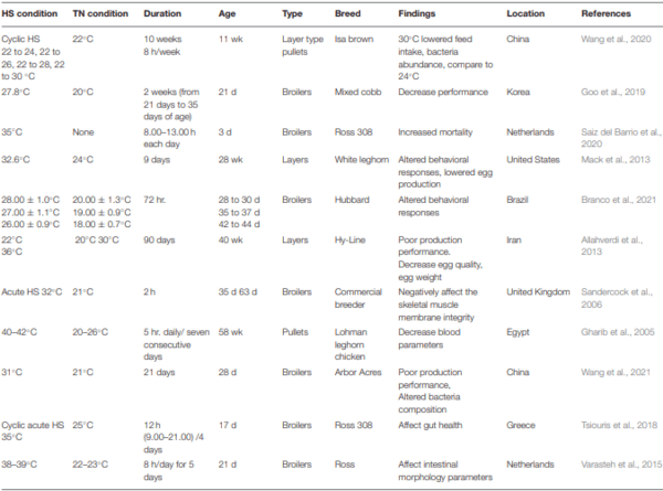 Environmental Stress in Chickens and the Potential Effectiveness of Dietary Vitamin Supplementation - Image 1