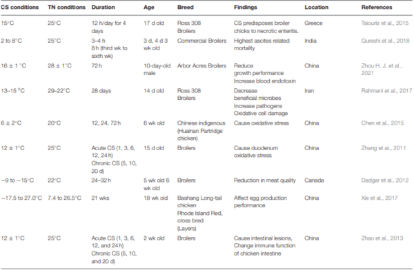 Environmental Stress in Chickens and the Potential Effectiveness of Dietary Vitamin Supplementation - Image 2