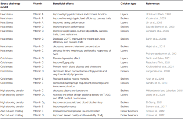 Environmental Stress in Chickens and the Potential Effectiveness of Dietary Vitamin Supplementation - Image 4