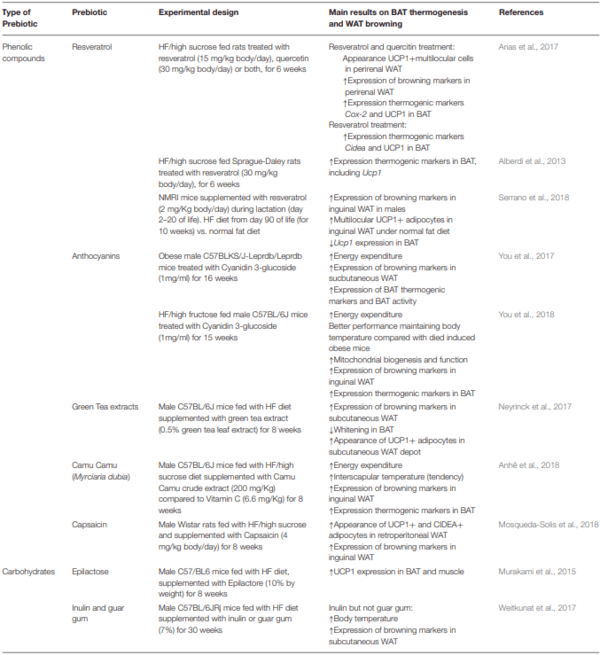 Regulation of Adaptive Thermogenesis and Browning by Prebiotics and Postbiotics - Image 1
