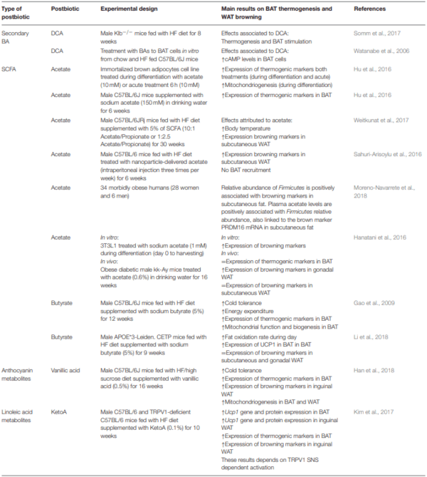 Regulation of Adaptive Thermogenesis and Browning by Prebiotics and Postbiotics - Image 2