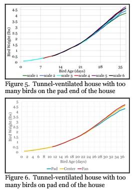 The Importance of Maintaining Uniform Bird Densities - Image 3