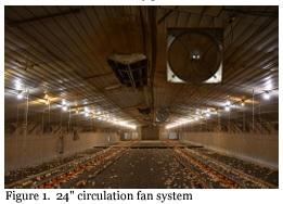 Using Circulation Fans to Improve Foot Pad Health - Image 1