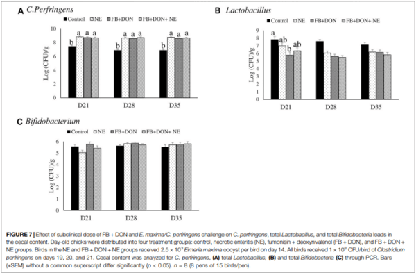 Subclinical Doses of Combined Fumonisins and Deoxynivalenol Predispose Clostridium perfringens–Inoculated Broilers to Necrotic Enteritis - Image 11