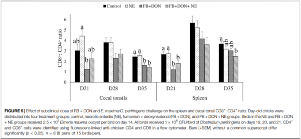 Subclinical Doses of Combined Fumonisins and Deoxynivalenol Predispose Clostridium perfringens–Inoculated Broilers to Necrotic Enteritis - Image 9