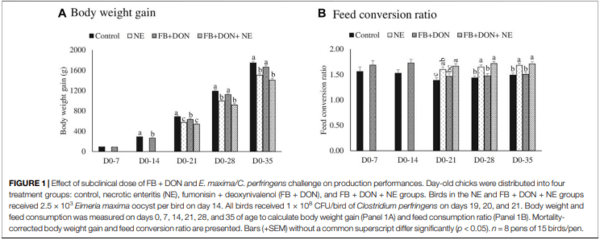 Subclinical Doses of Combined Fumonisins and Deoxynivalenol Predispose Clostridium perfringens–Inoculated Broilers to Necrotic Enteritis - Image 4