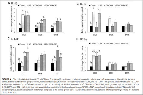 Subclinical Doses of Combined Fumonisins and Deoxynivalenol Predispose Clostridium perfringens–Inoculated Broilers to Necrotic Enteritis - Image 8