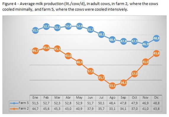 How intensive cooling in summer affects fertility of young and adult cows? - Image 4
