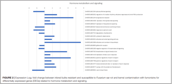 Genomics and Pathways Involved in Maize Resistance to Fusarium Ear Rot and Kernel Contamination With Fumonisins - Image 3