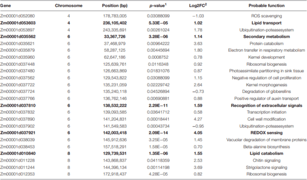 Genomics and Pathways Involved in Maize Resistance to Fusarium Ear Rot and Kernel Contamination With Fumonisins - Image 8