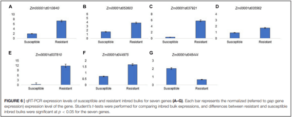 Genomics and Pathways Involved in Maize Resistance to Fusarium Ear Rot and Kernel Contamination With Fumonisins - Image 7