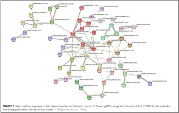 Genomics and Pathways Involved in Maize Resistance to Fusarium Ear Rot and Kernel Contamination With Fumonisins - Image 4